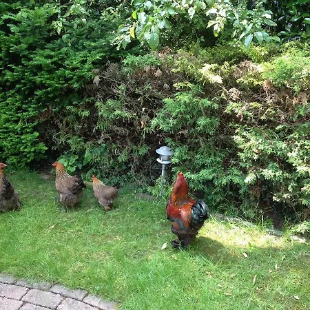 Azzurro Bed & Breakfast Bokhoven