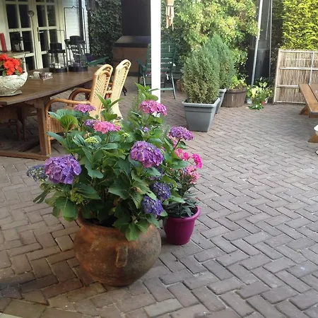 Bed & Breakfast Azzurro 4*