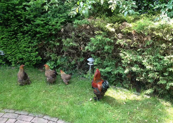 Azzurro Bed & Breakfast Bokhoven